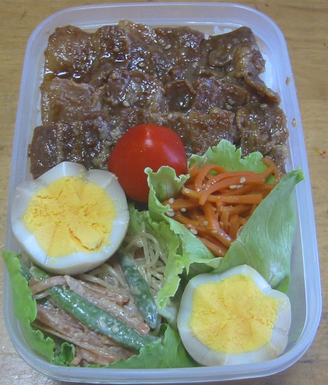 サラ弁_a0211008_1231143.jpg