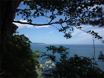 久慈市から野田村まで(その2)。_c0195909_1632135.jpg
