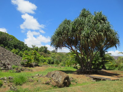 b0184211_12195763.jpg