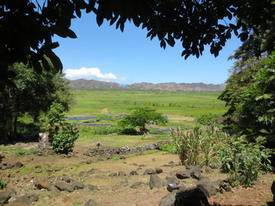 b0184211_12232620.jpg