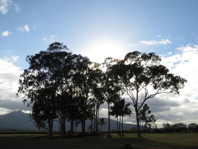b0184211_12354968.jpg