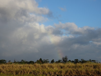 b0184211_12432720.jpg