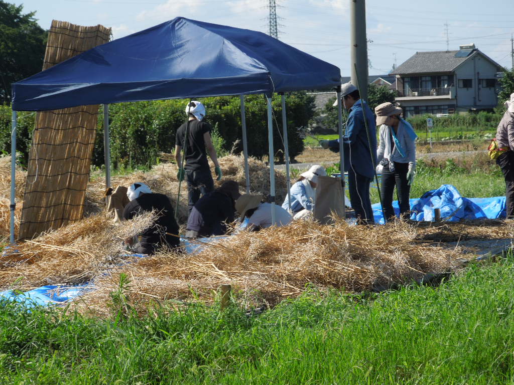 「なたね油 ⑤-2012」_a0120513_19234422.jpg