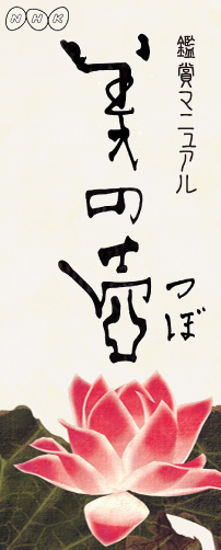 「美の壷」_c0222817_11282826.png