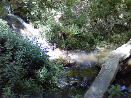 c0223419_20521043.jpg