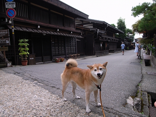 b0225620_10155570.jpg