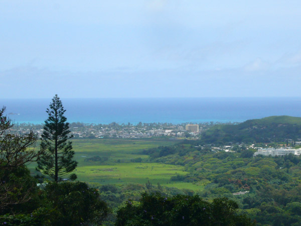 e0163721_11221845.jpg