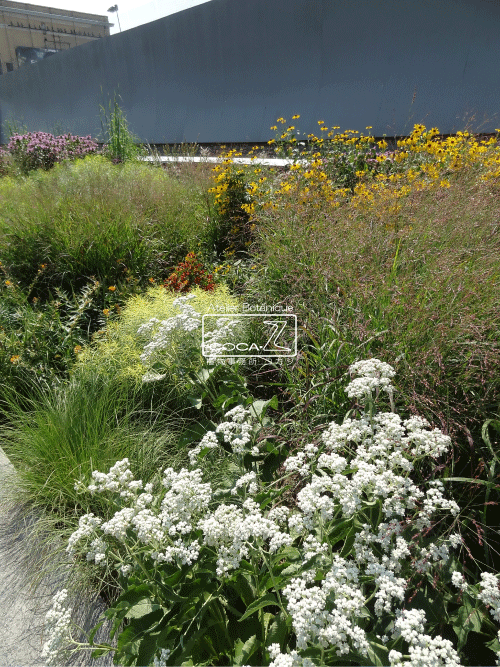 b0160123_1025589.gif