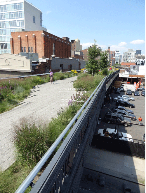 b0160123_1027312.gif