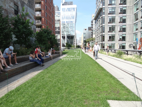 b0160123_10352982.gif