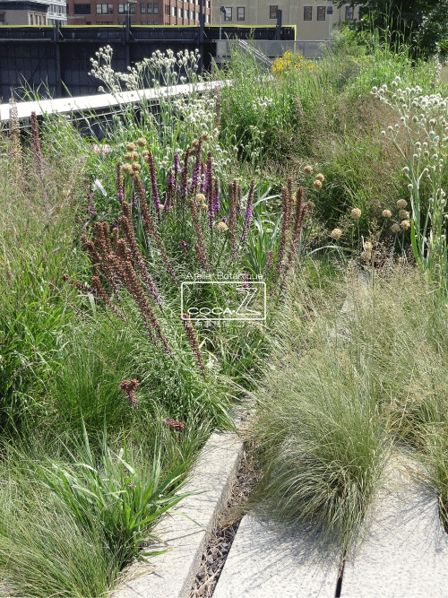 b0160123_1039461.gif
