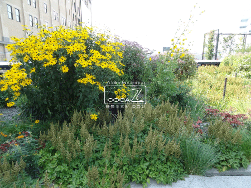 b0160123_18385847.gif