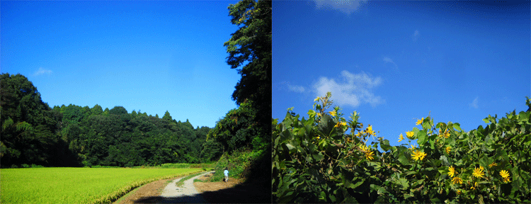 c0146127_18591439.gif