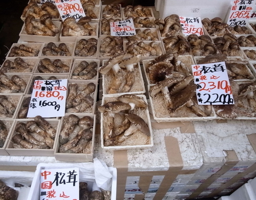 déjeuner dans le marché aux poisson de Tsukiji - 築地場外「おか戸」でランチ_a0231632_14142515.jpg