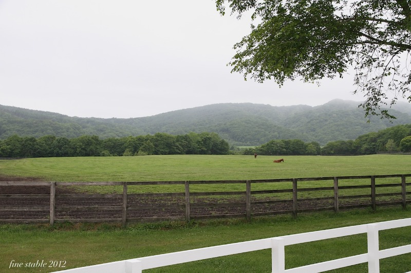 c0240132_5554998.jpg