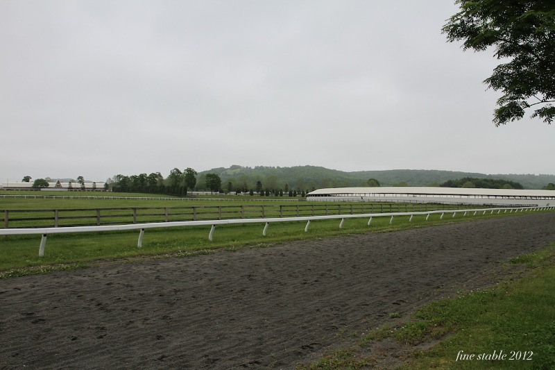c0240132_5555549.jpg