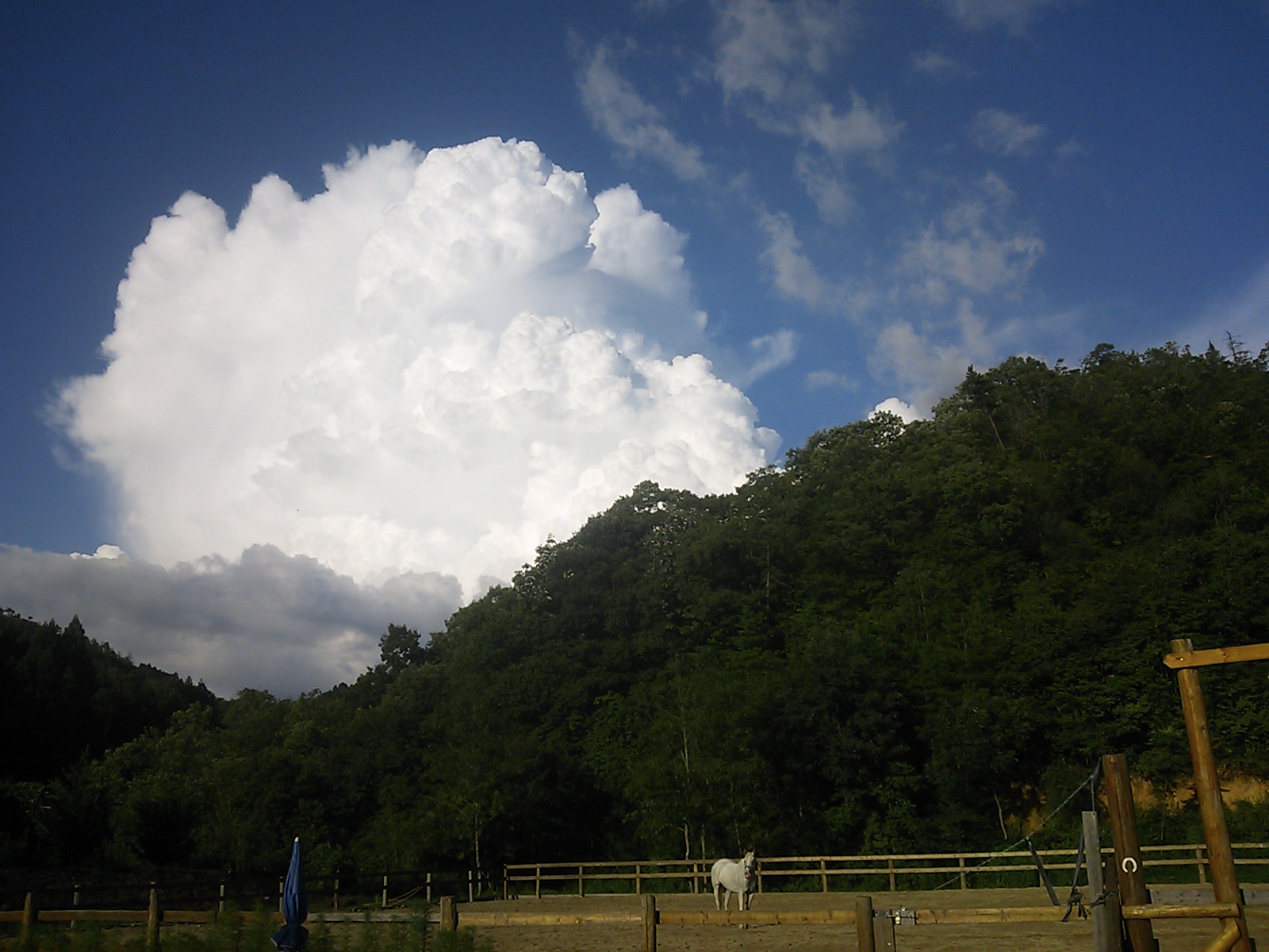 巨大積乱雲発生!_e0145441_6513719.jpg