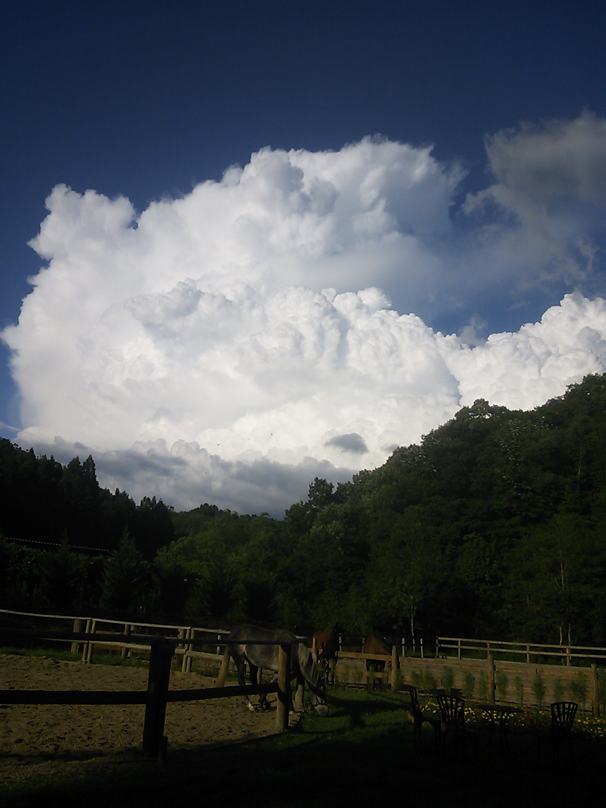 巨大積乱雲発生!_e0145441_6545480.jpg