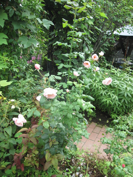 a0279743_13422252.jpg