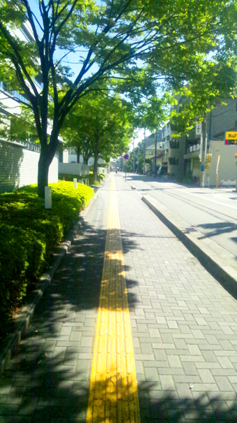 d0218056_112536.jpg