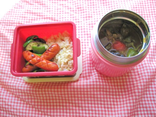 夏野菜カレーのお弁当_a0198858_2094916.jpg