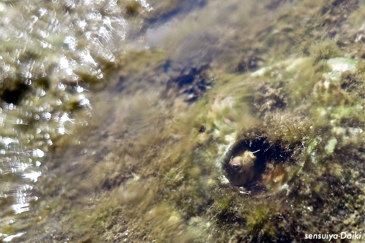 e0158261_862039.jpg
