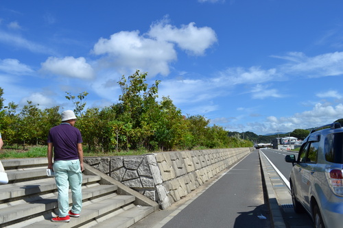 c0011169_98548.jpg