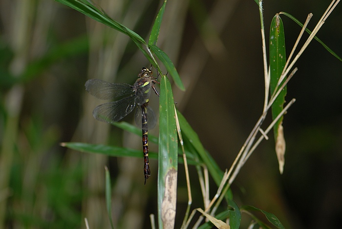 f0088971_025027.jpg
