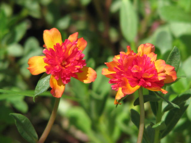 b0161073_22315117.jpg