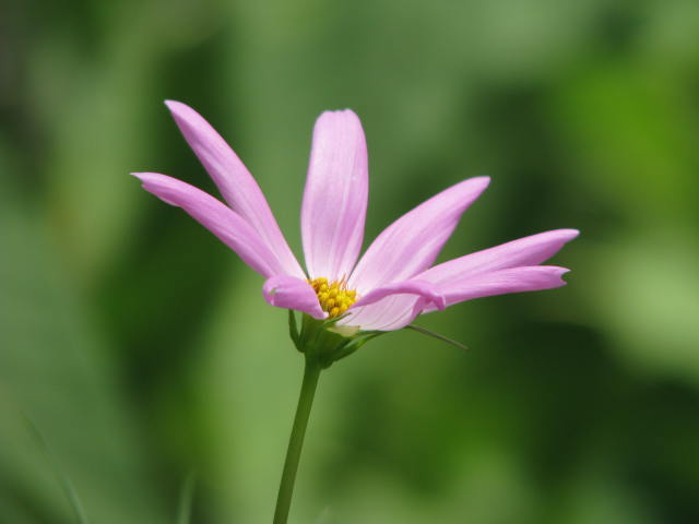 b0161073_22373927.jpg