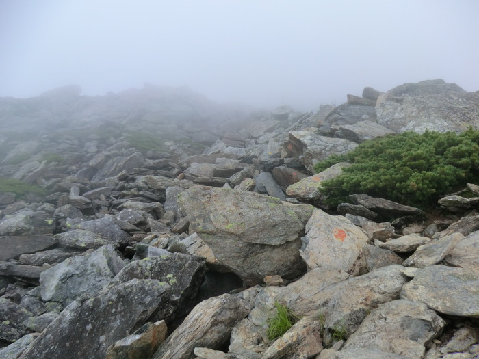 b0185573_9455315.jpg