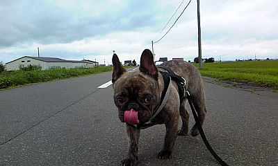 b0056476_12222155.jpg
