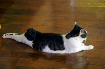 f0054677_7464431.jpg