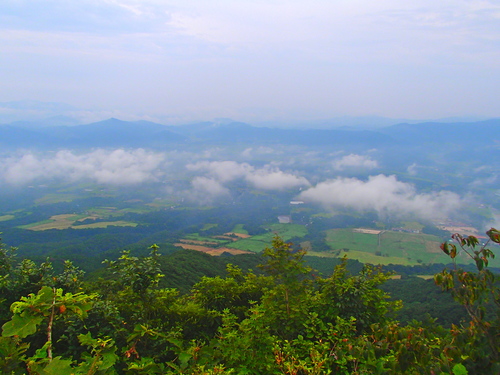 a0229678_21401576.jpg