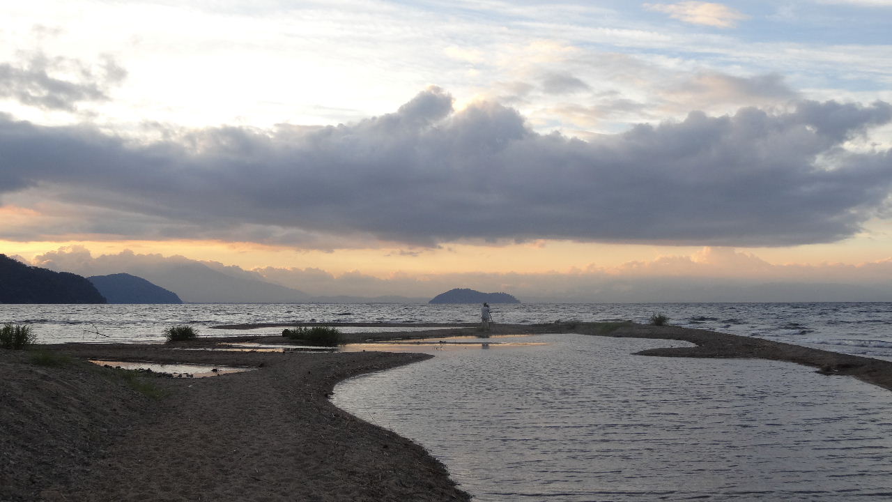 今朝の琵琶湖、知内川裾で・・・　　２０１２．８．２３_c0153880_10433285.jpg