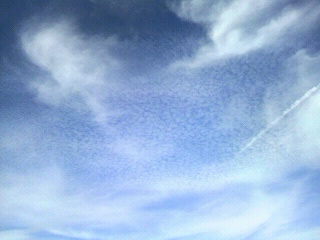 f0228680_9254536.jpg