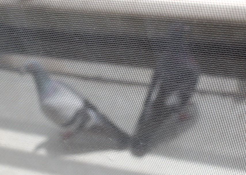 a0247884_2375379.jpg