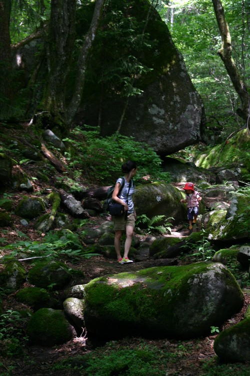d0003991_18593242.jpg