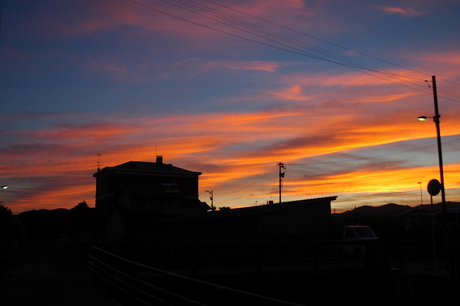 d0234293_74730.jpg