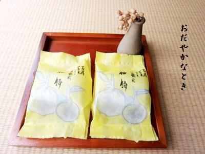私のこころの糧となるもの 癒しやエネルギーとなるもの_d0249193_9395458.jpg