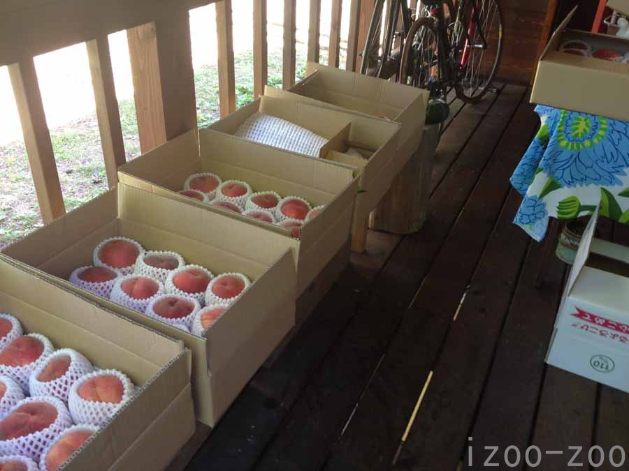 モモの出荷場_c0223095_22354716.jpg