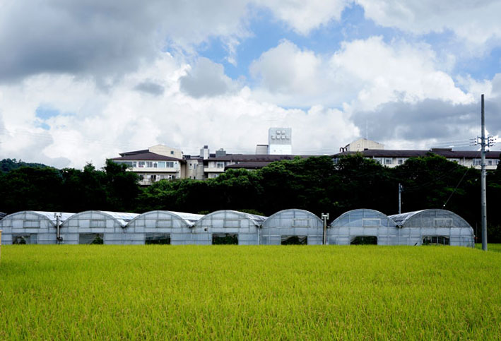 川原田農園のイチジク_b0145296_2225977.jpg