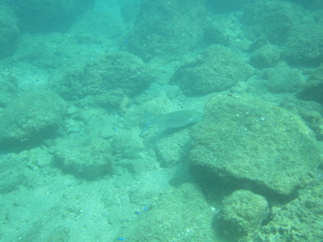 e0115199_21221577.jpg