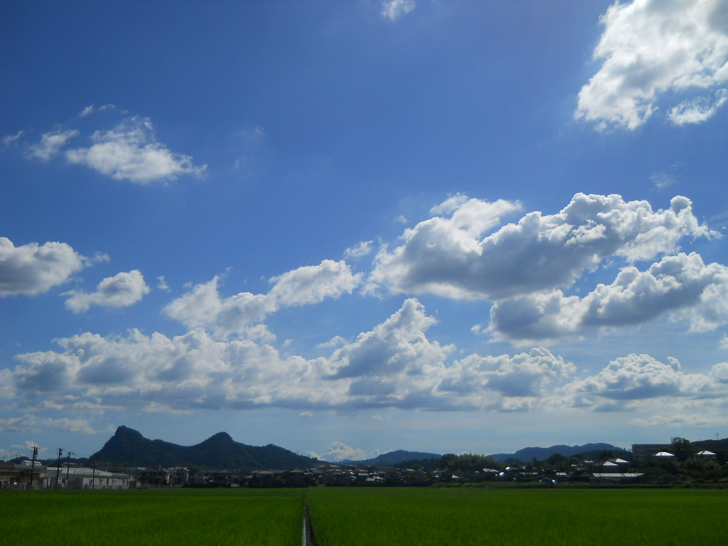 真夏の空の下で~_f0146802_19592072.jpg