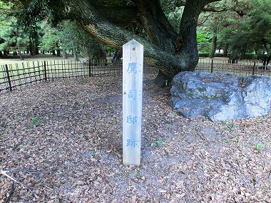 c0187004_115068.jpg