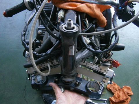 a0145207_1618225.jpg