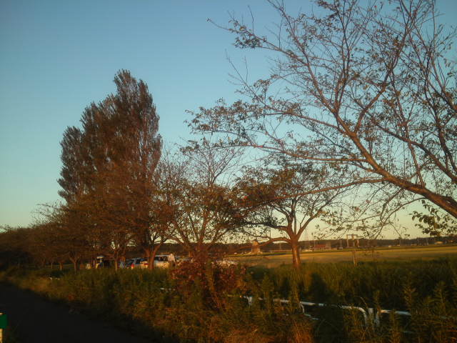 a0185007_19394716.jpg