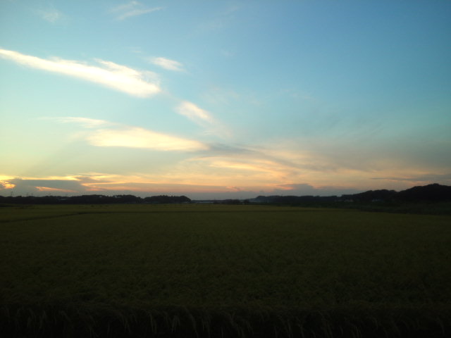 a0185007_19411392.jpg