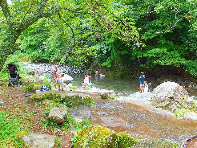 f0182513_053525.jpg