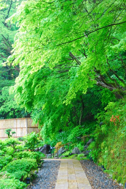 三姉妹と行く、心と身体の癒し旅 ~後篇~_c0116714_15552871.jpg